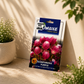 Omaxe Gomphrena Purple Flower Seeds – Premium Long Blooming Globe Amaranth Seeds for Home Garden & Balcony Pots