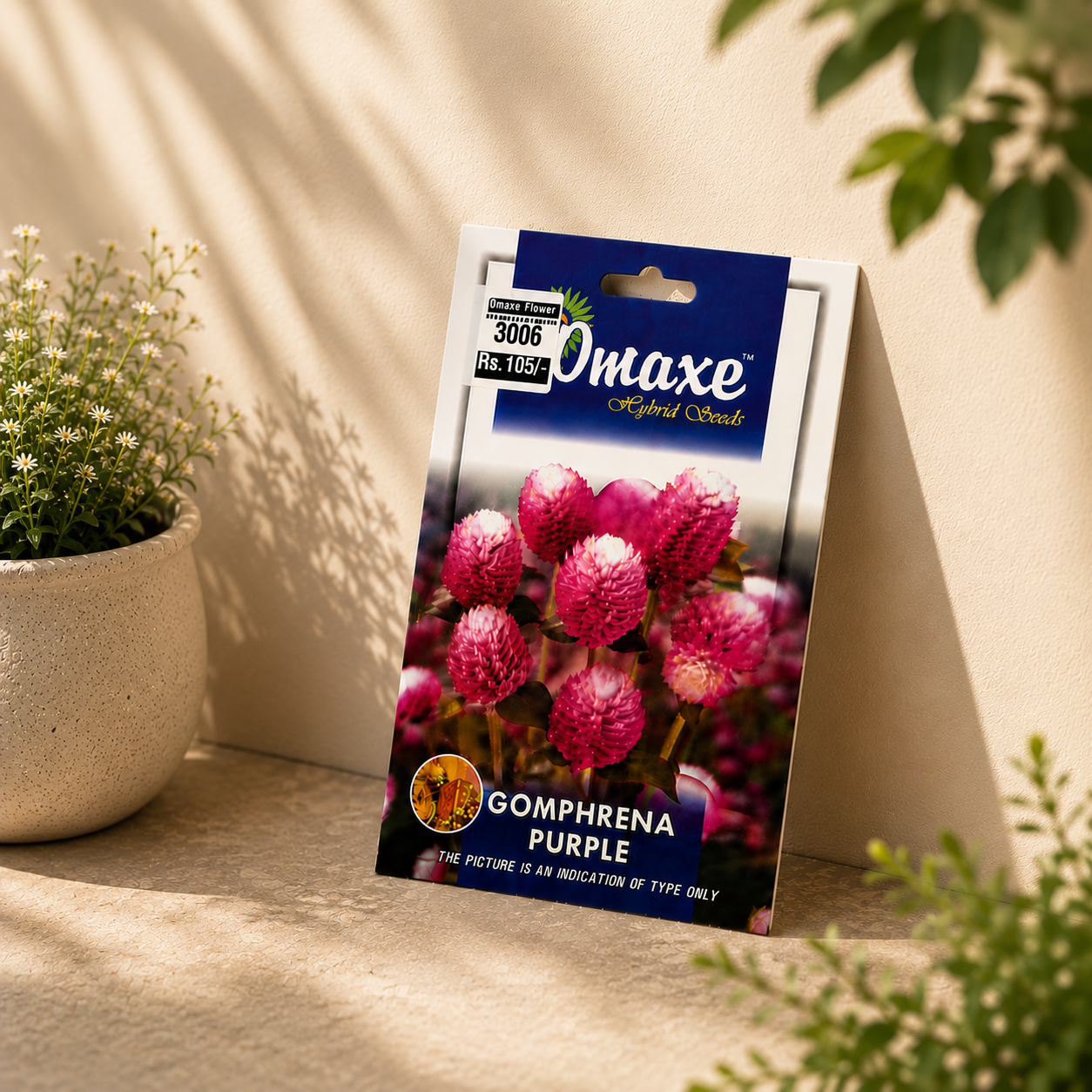 Omaxe Gomphrena Purple Flower Seeds – Premium Long Blooming Globe Amaranth Seeds for Home Garden & Balcony Pots