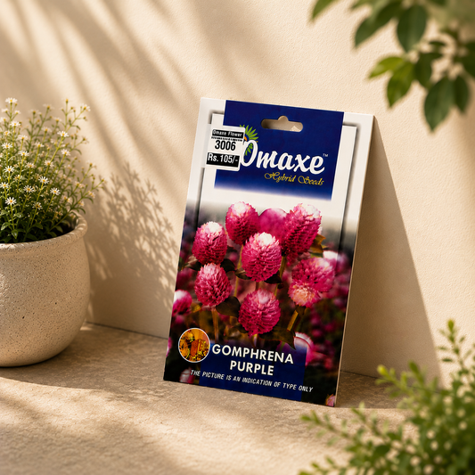 Omaxe Gomphrena Purple Flower Seeds – Premium Long Blooming Globe Amaranth Seeds for Home Garden & Balcony Pots