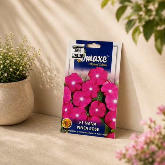 Omaxe F1 Nana Vinca Rose Flower Seeds – Premium Hybrid Periwinkle Seeds for Pots, Balcony & Garden