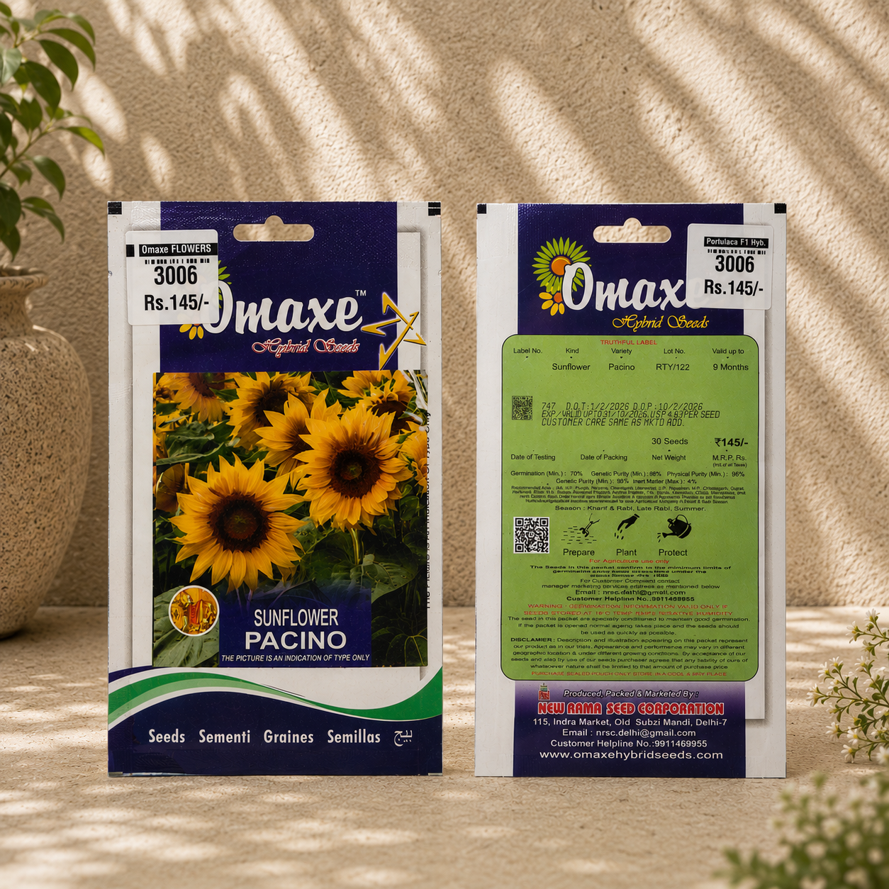 Omaxe Sunflower Pacino Flower Seeds – Premium Hybrid Yellow Sunflower Seeds for Home Garden & Balcony Planting