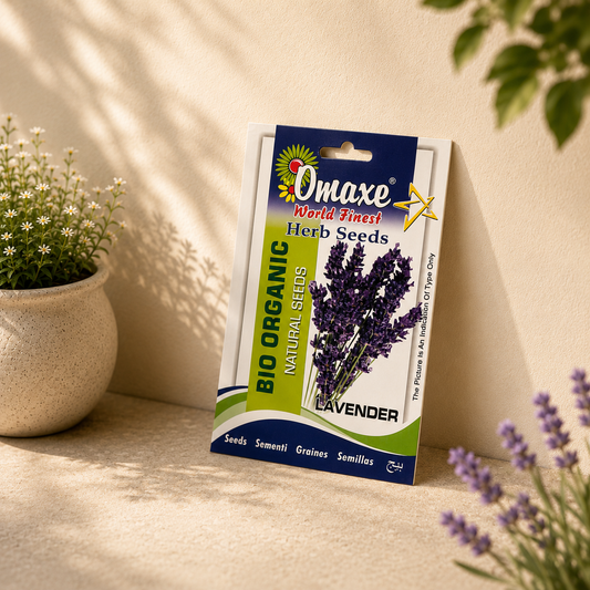 Omaxe Organic Lavender Herb Seeds – Premium Natural Aromatic Flower & Medicinal Herb Seeds for Home Gardening