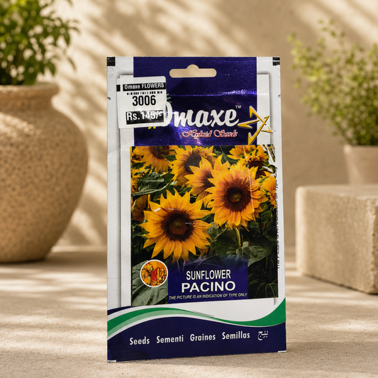 Omaxe Sunflower Pacino Flower Seeds – Premium Hybrid Yellow Sunflower Seeds for Home Garden & Balcony Planting