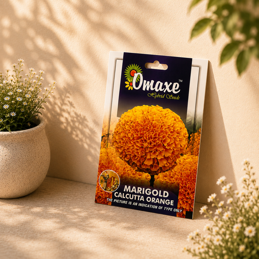 Omaxe Marigold Calcutta Orange Flower Seeds – Premium Bright Orange Hybrid Marigold Seeds for Home Garden & Decorative Flowering