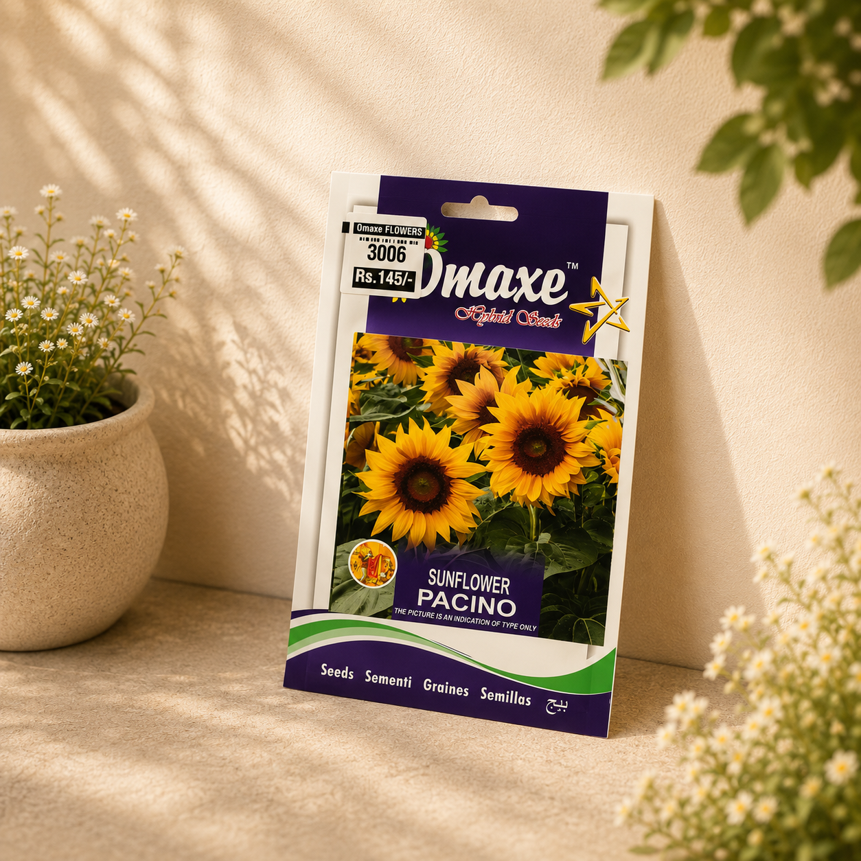 Omaxe Sunflower Pacino Flower Seeds – Premium Hybrid Yellow Sunflower Seeds for Home Garden & Balcony Planting