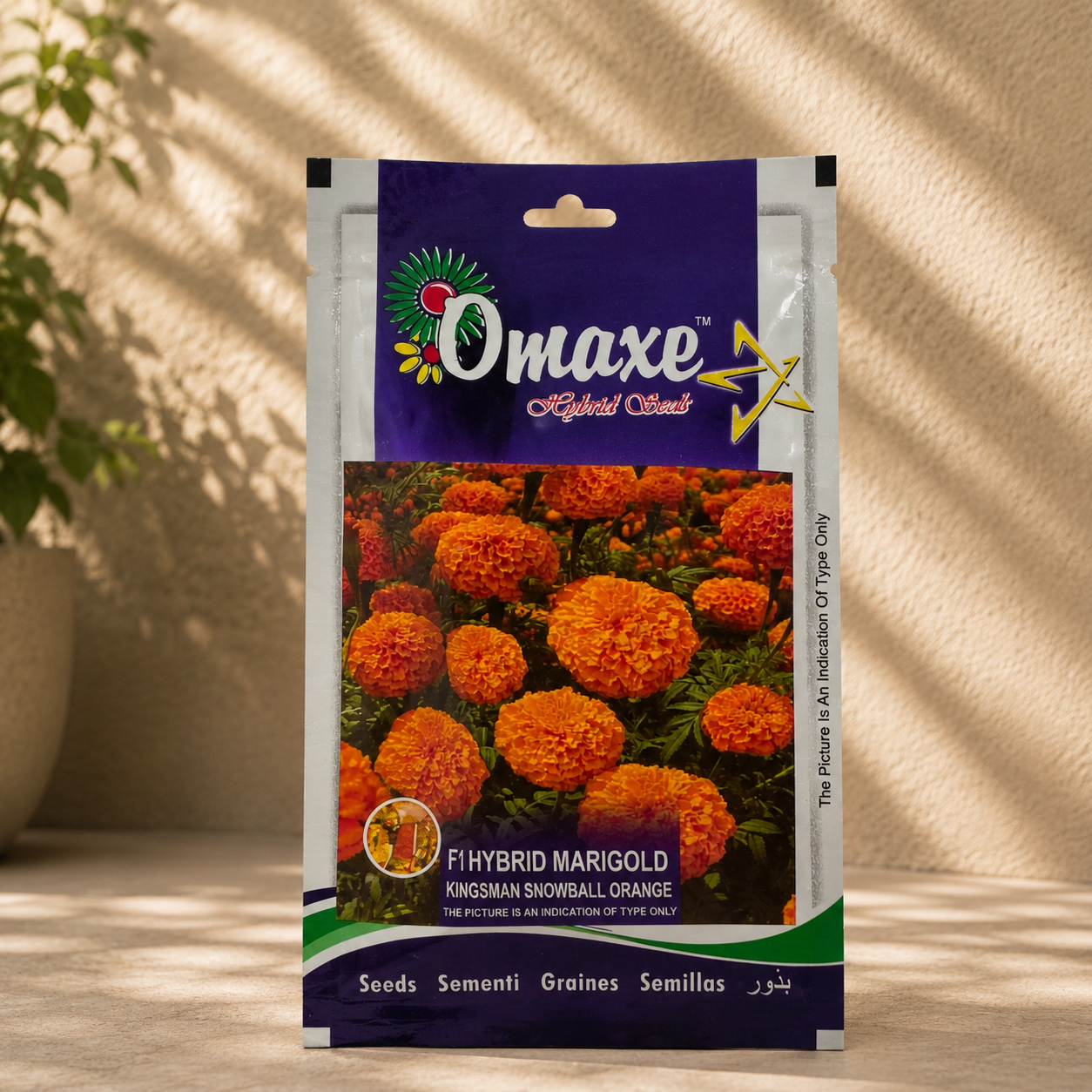 Omaxe F1 Hybrid Marigold Kingsman Snowball Orange Seeds – Premium Orange Marigold Flower Seeds for Home Garden & Terrace Gardening