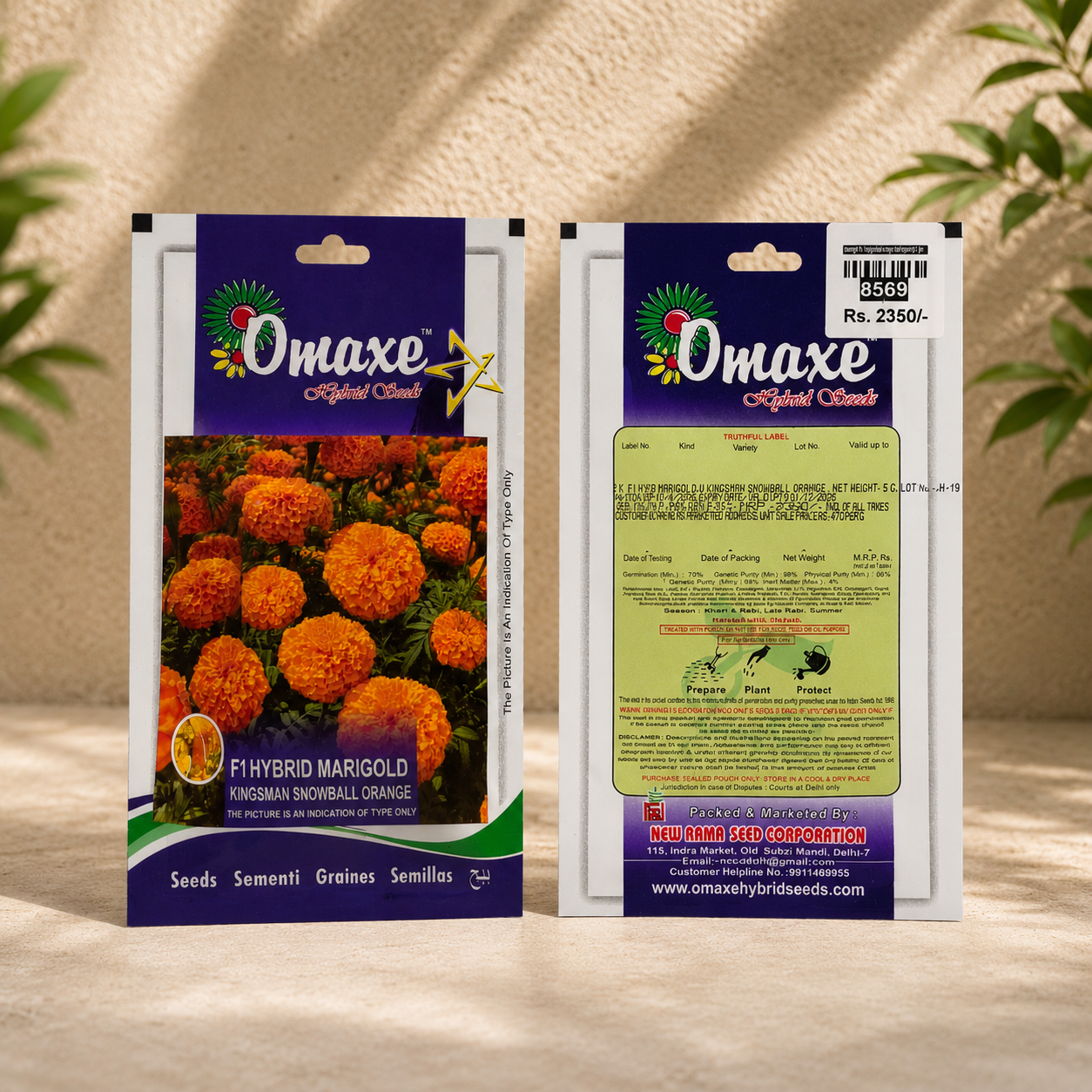 Omaxe F1 Hybrid Marigold Kingsman Snowball Orange Seeds – Premium Orange Marigold Flower Seeds for Home Garden & Terrace Gardening