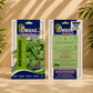Basil Leaf Italian Broad Seeds – Premium Quality Herb Seeds for Home Garden, Balcony Planters & Organic Farming