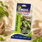 Basil Herb Seeds – Premium Quality Seeds for Home Garden, Balcony Planters & Organic Farming