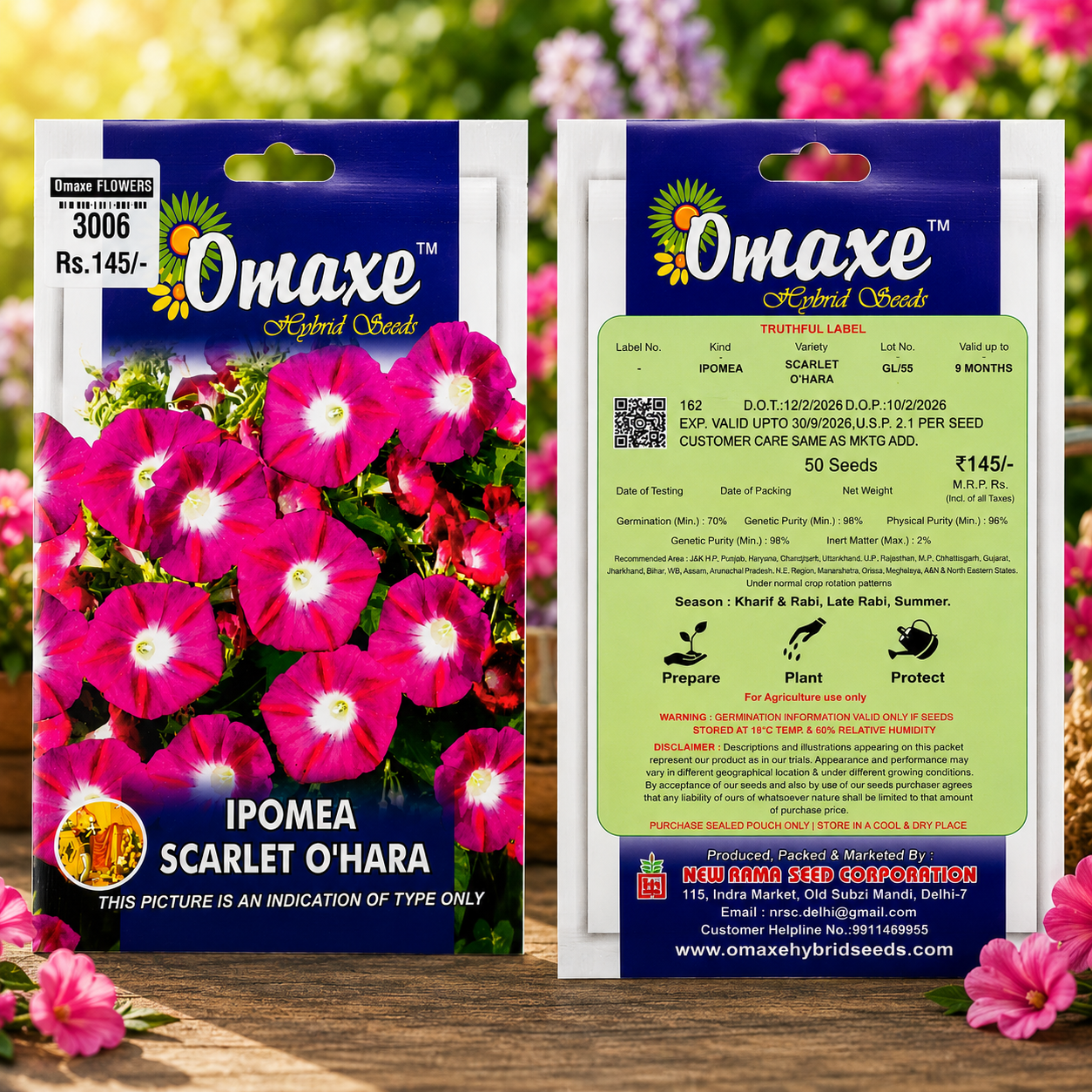 Omaxe Ipomea Scarlet O’Hara Flower Seeds – Premium Hybrid Morning Glory Seeds for Home Garden & Balcony Gardening