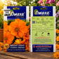 Bright Light Cosmos Orange Seasonal Flower Seeds for Indian Gardens