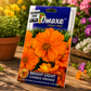 Bright Light Cosmos Orange Seasonal Flower Seeds for Indian Gardens