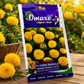 Omaxe F1 Hybrid Marigold Kingsman Snowball Yellow Flower Seeds for Home Garden, Terrace Gardening & Nursery Plantation