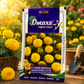 Omaxe F1 Hybrid Marigold Kingsman Snowball Yellow Flower Seeds for Home Garden, Terrace Gardening & Nursery Plantation