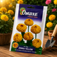 Omaxe Hybrid Seeds F1 Tall Zinnia Yellow Flower Seeds for Home Garden, Balcony Pots & Outdoor Flowering Plants