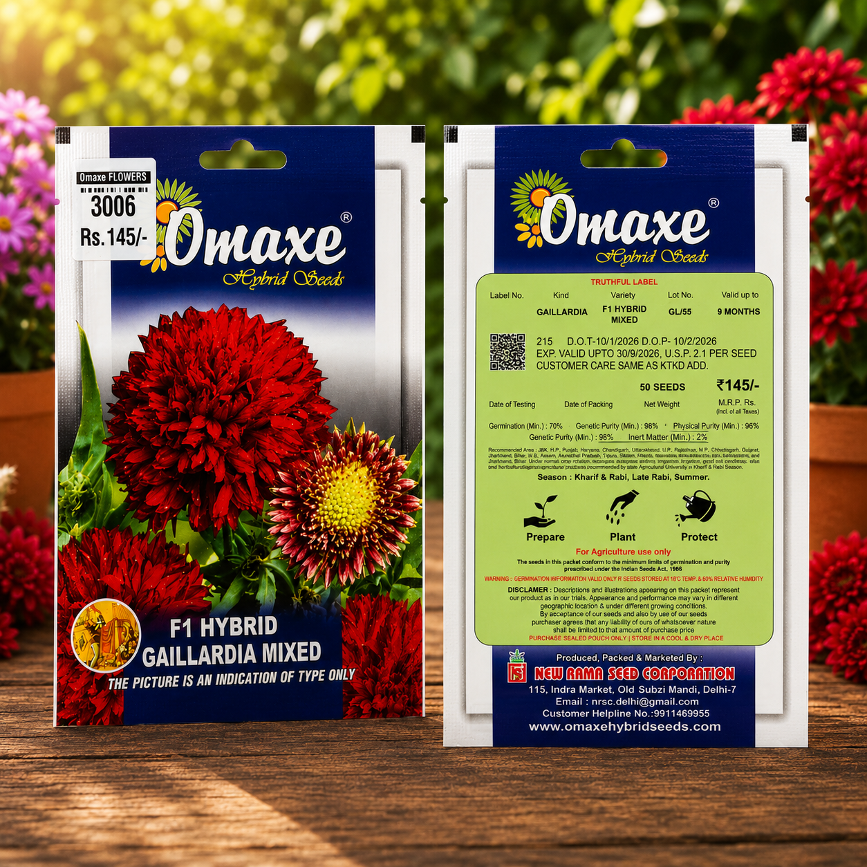 Omaxe F1 Hybrid Gaillardia Mixed Flower Seeds – Premium Colorful Blooming Seeds for Home Garden, Balcony & Terrace Gardening