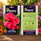 Omaxe Balsamine Rose Flower Seeds – F1 Hybrid Premium Flower Seeds for Home Garden, Balcony & Terrace Gardening