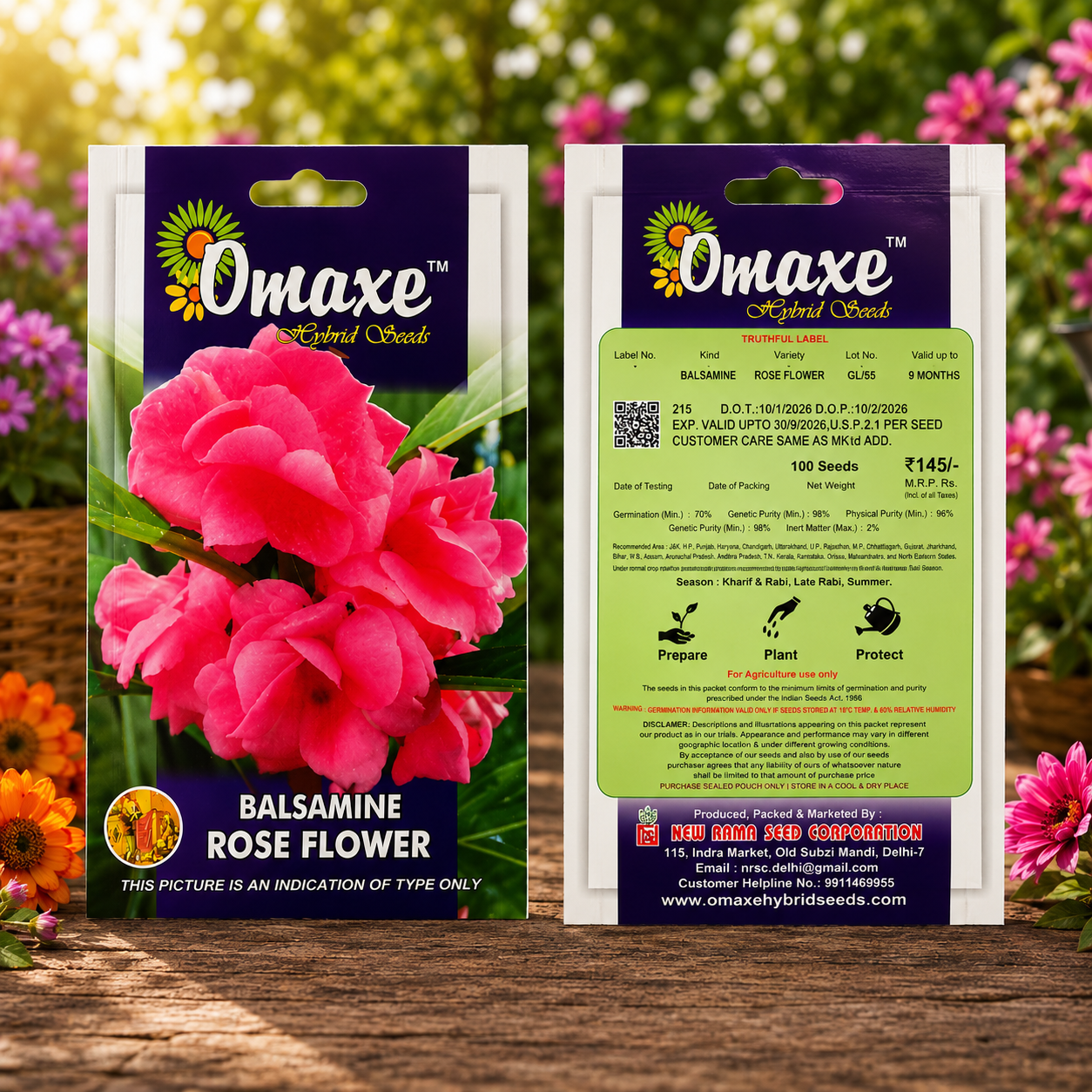 Omaxe Balsamine Rose Flower Seeds – F1 Hybrid Premium Flower Seeds for Home Garden, Balcony & Terrace Gardening