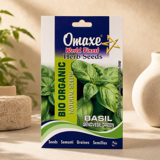Genovese Green Basil Herb Seeds – Premium Quality Seeds for Home Garden, Balcony Planters & Organic Farming