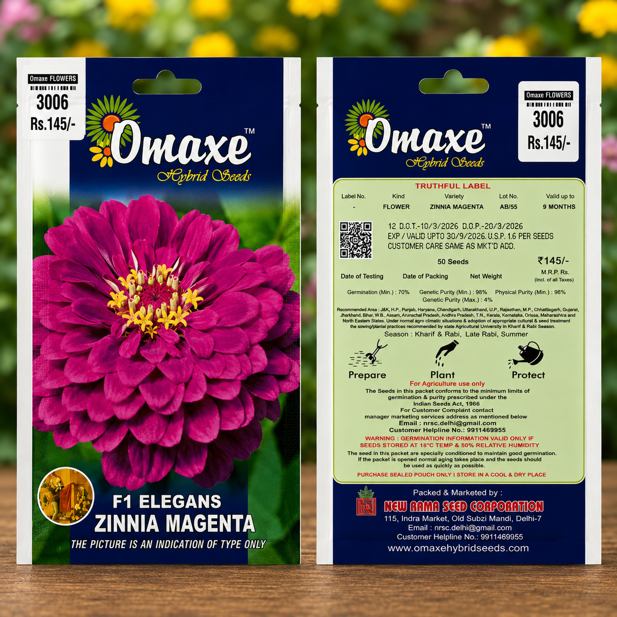 Omaxe Hybrid Seeds F1 Elegans Zinnia Magenta Flower Seeds for Home Garden