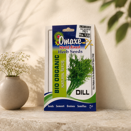 High Quality Dill Seeds for Organic Gardening - Premium Quality Seeds for Home Garden, Balcony Planters & Farming
