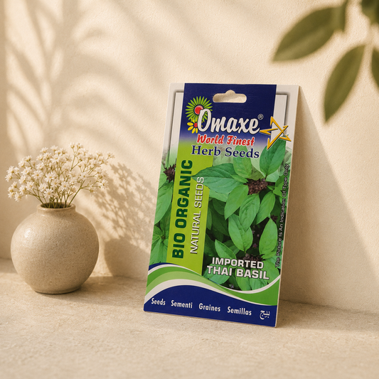 Imported Thai Basil Seeds for Indoor & Outdoor Gardening – Fast Growing Aromatic Herb Plant