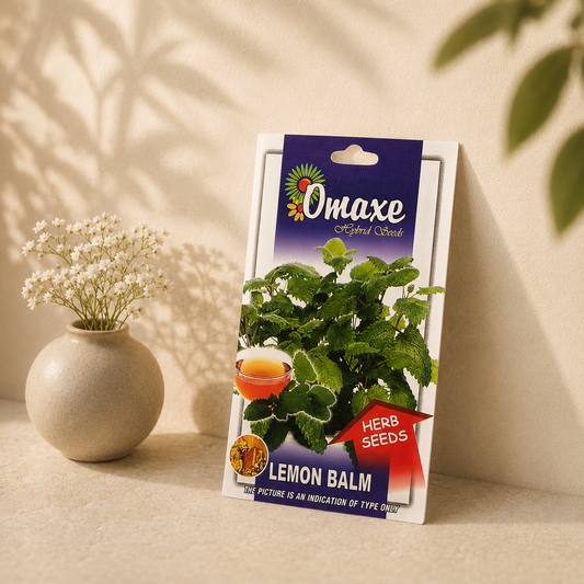 Lemon Balm Plant Seeds – Aromatic Medicinal Herb for Organic Farming & Kitchen Gardening