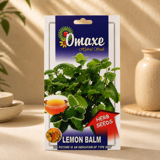 Lemon Balm Plant Seeds – Aromatic Medicinal Herb for Organic Farming & Kitchen Gardening