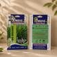 Lemongrass Selection Seeds – Premium Quality Herb Seeds for Home Garden, Balcony Planters & Organic Farming
