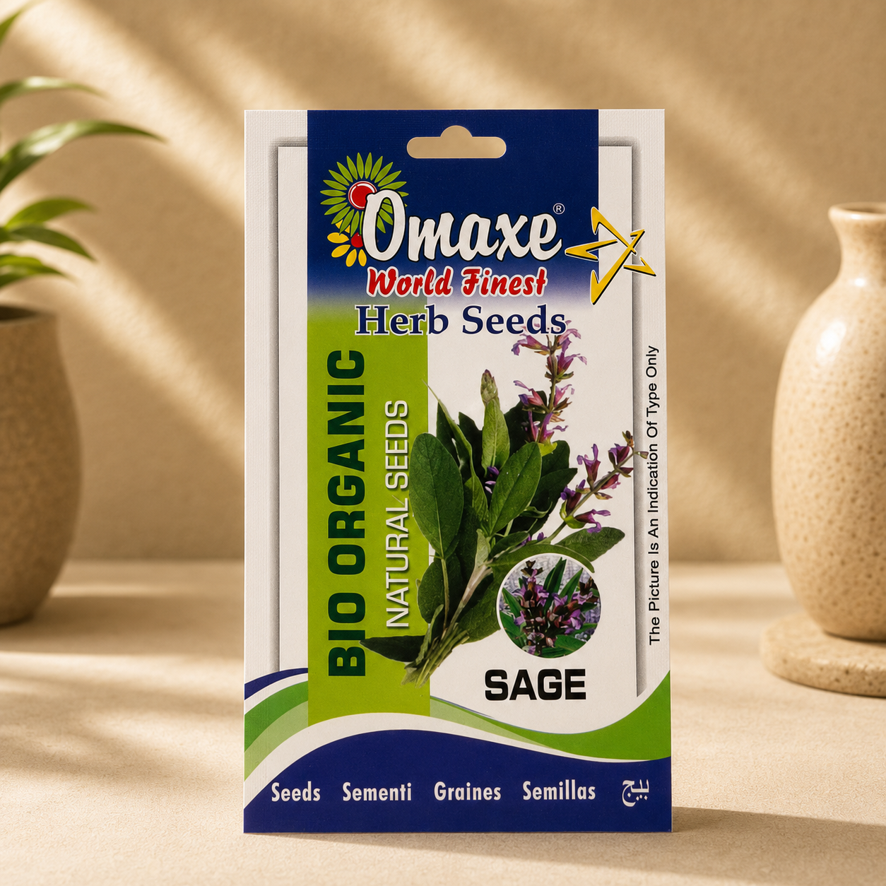 Premium Quality Sage Seeds – Culinary Herb for Organic Farming, Terrace & Indoor Gardening