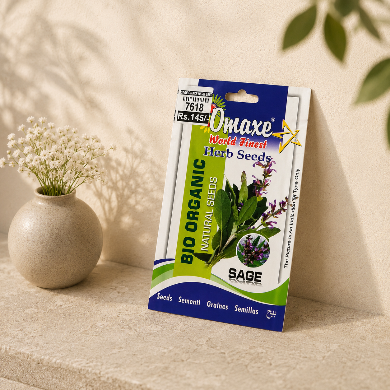 Premium Quality Sage Seeds – Culinary Herb for Organic Farming, Terrace & Indoor Gardening