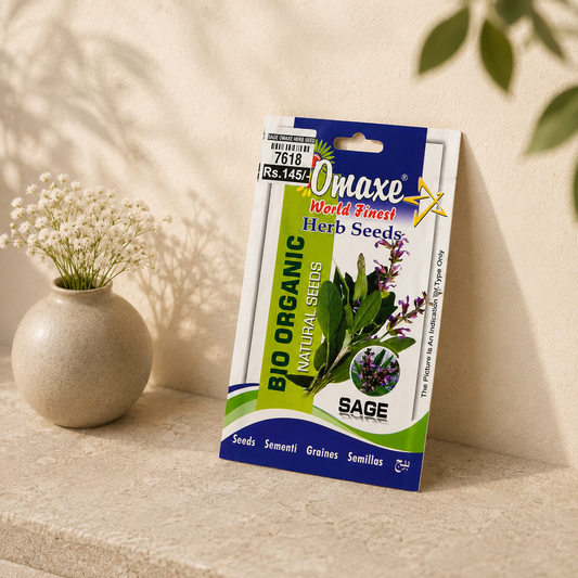 Premium Quality Sage Seeds – Culinary Herb for Organic Farming, Terrace & Indoor Gardening