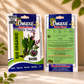 Premium Quality Sage Seeds – Culinary Herb for Organic Farming, Terrace & Indoor Gardening