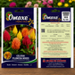 Omaxe Celosia Plumosa Mixed Seeds for Bright Colorful Garden Flowers