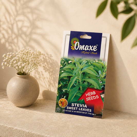 Premium Stevia Sweet Leaves Seeds – Easy to Grow Herbal Plant for Indoor Pots & Organic Farming