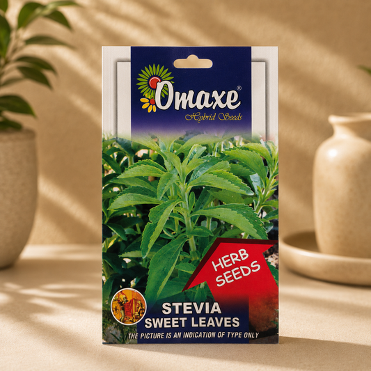 Premium Stevia Sweet Leaves Seeds – Easy to Grow Herbal Plant for Indoor Pots & Organic Farming