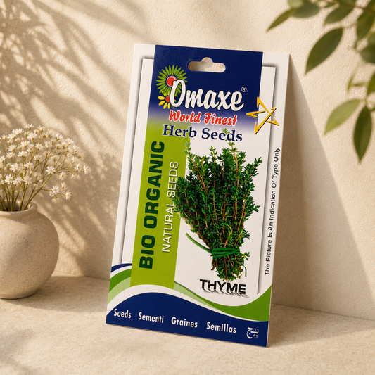 Thyme Herb Seeds – Premium Quality Seeds for Home Garden, Balcony Planters & Organic Gardening
