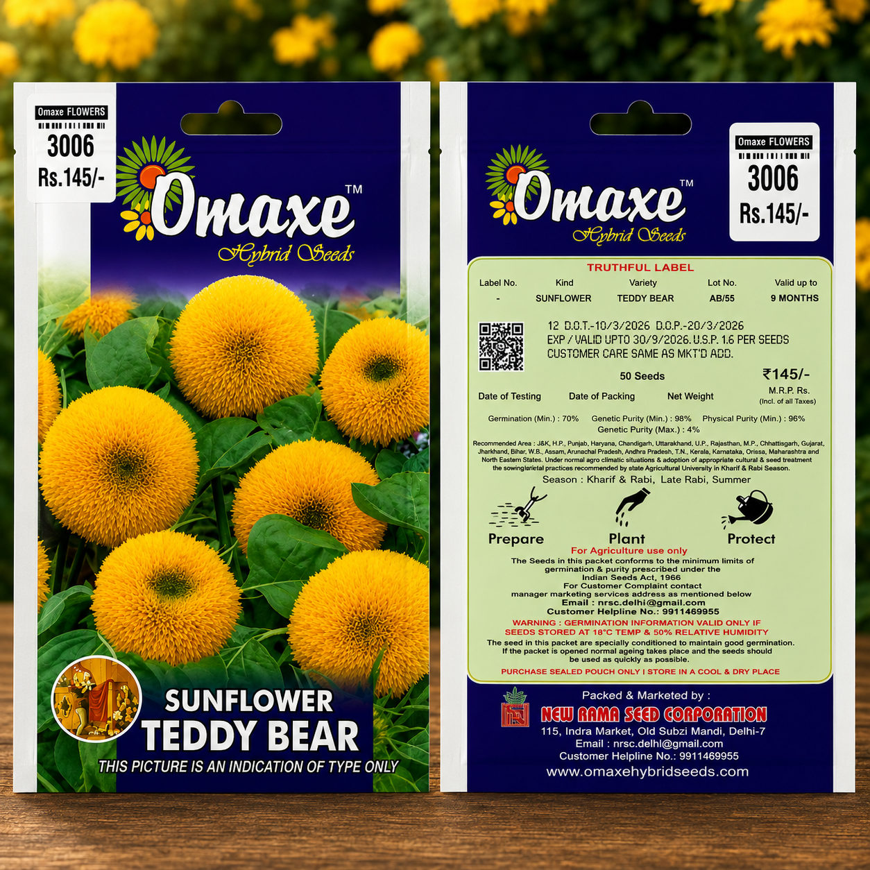 Omaxe Hybrid Seeds Teddy Bear Sunflower Flower Seeds for Home Garden, Balcony & Outdoor Flowering Plants – Premium F1 Tall Yellow Sunflower Seeds