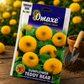 Omaxe Hybrid Seeds Teddy Bear Sunflower Flower Seeds for Home Garden, Balcony & Outdoor Flowering Plants – Premium F1 Tall Yellow Sunflower Seeds