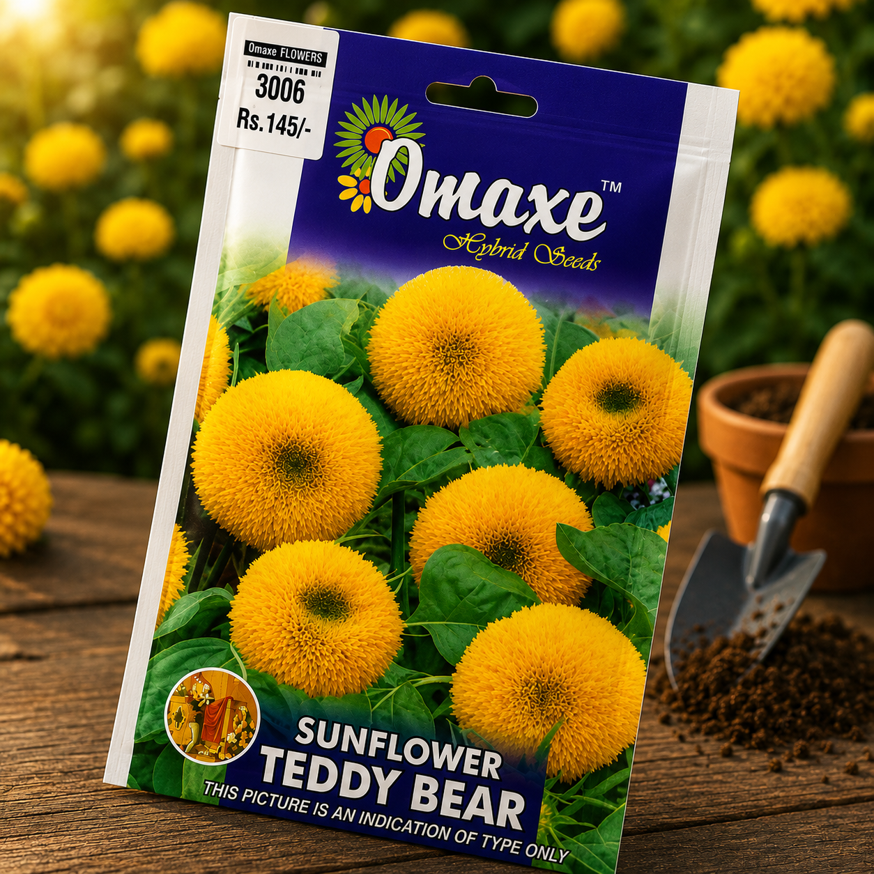 Omaxe Hybrid Seeds Teddy Bear Sunflower Flower Seeds for Home Garden, Balcony & Outdoor Flowering Plants – Premium F1 Tall Yellow Sunflower Seeds