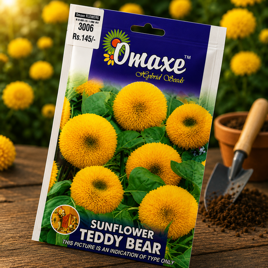 Omaxe Hybrid Seeds Teddy Bear Sunflower Flower Seeds for Home Garden, Balcony & Outdoor Flowering Plants – Premium F1 Tall Yellow Sunflower Seeds