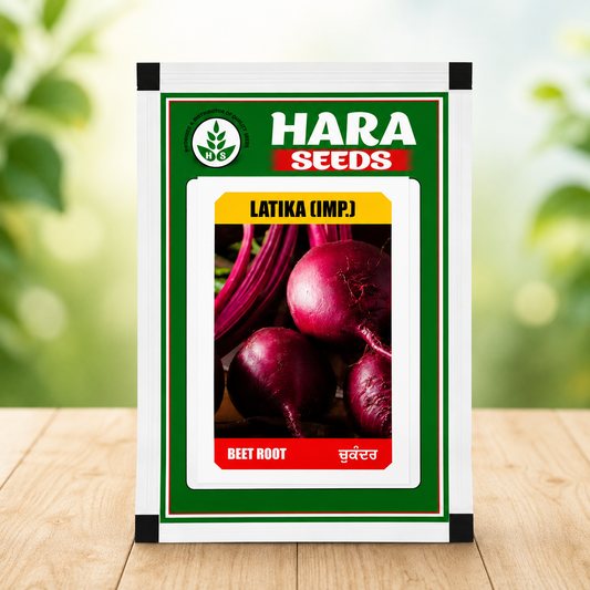 Best beetroot seeds for home gardening in India
