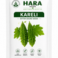 HARA Seeds Kareli (Bitter Gourd) Seeds – High Germination Vegetable Seeds for Home Gardening & Farming