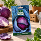 Red Cabbage HAS-1113 F1 Seeds | Hara Agri Seeds | Premium Hybrid Red Cabbage Vegetable Seeds for Home Garden, Kitchen Garden, Terrace Garden & Grow Bags