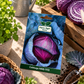 Red Cabbage HAS-1113 F1 Seeds | Hara Agri Seeds | Premium Hybrid Red Cabbage Vegetable Seeds for Home Garden, Kitchen Garden, Terrace Garden & Grow Bags