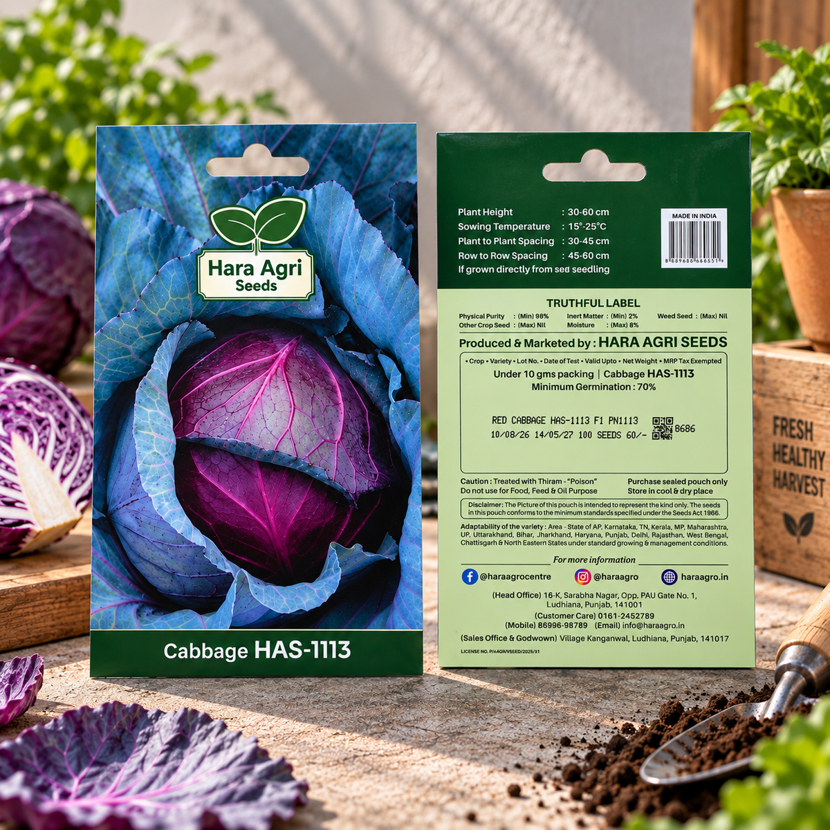 Red Cabbage HAS-1113 F1 Seeds | Hara Agri Seeds | Premium Hybrid Red Cabbage Vegetable Seeds for Home Garden, Kitchen Garden, Terrace Garden & Grow Bags