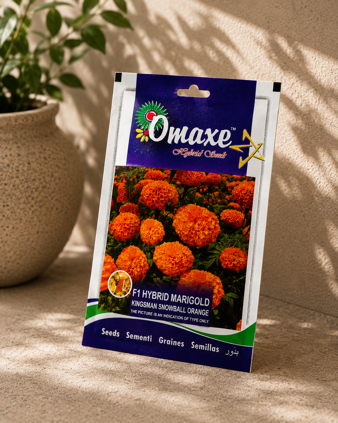 Omaxe F1 Hybrid Marigold Kingsman Snowball Orange Seeds – Premium Orange Marigold Flower Seeds for Home Garden & Terrace Gardening