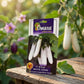 Premium F1 Brinjal White Long Seeds for High Yield Eggplant Farming in India