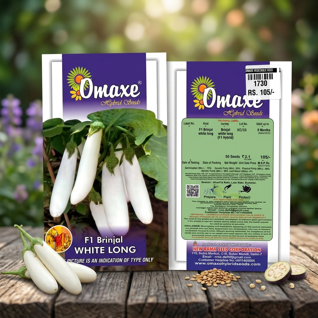 Premium F1 Brinjal White Long Seeds for High Yield Eggplant Farming in India