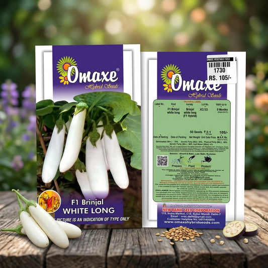 Premium F1 Brinjal White Long Seeds for High Yield Eggplant Farming in India